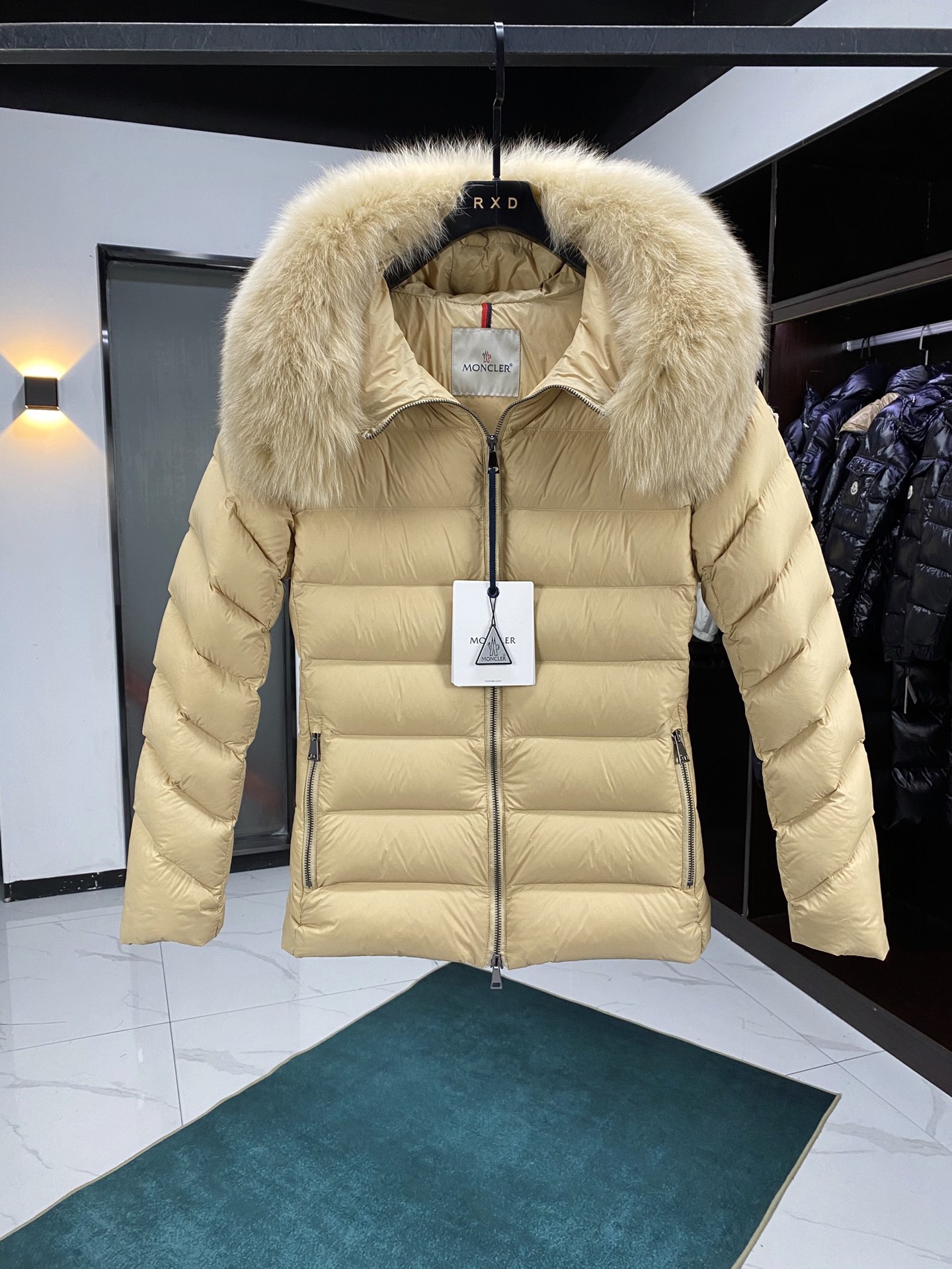 Moncler Down Jackets